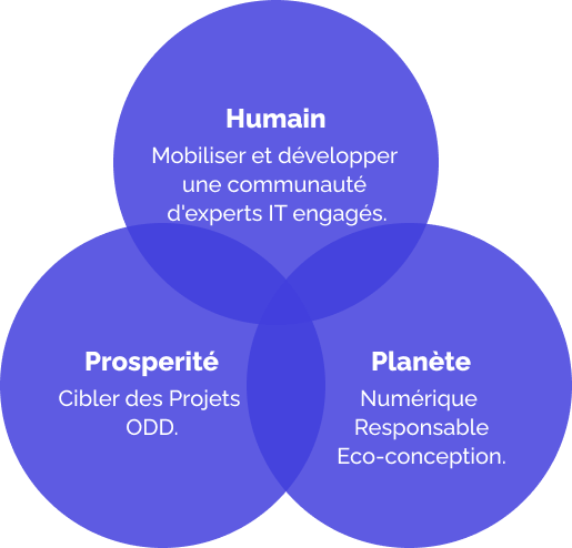 Purpose schema