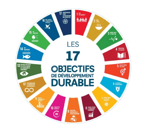 SDGs Schema